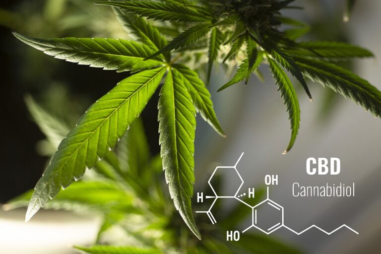 If CBD Isn't Working