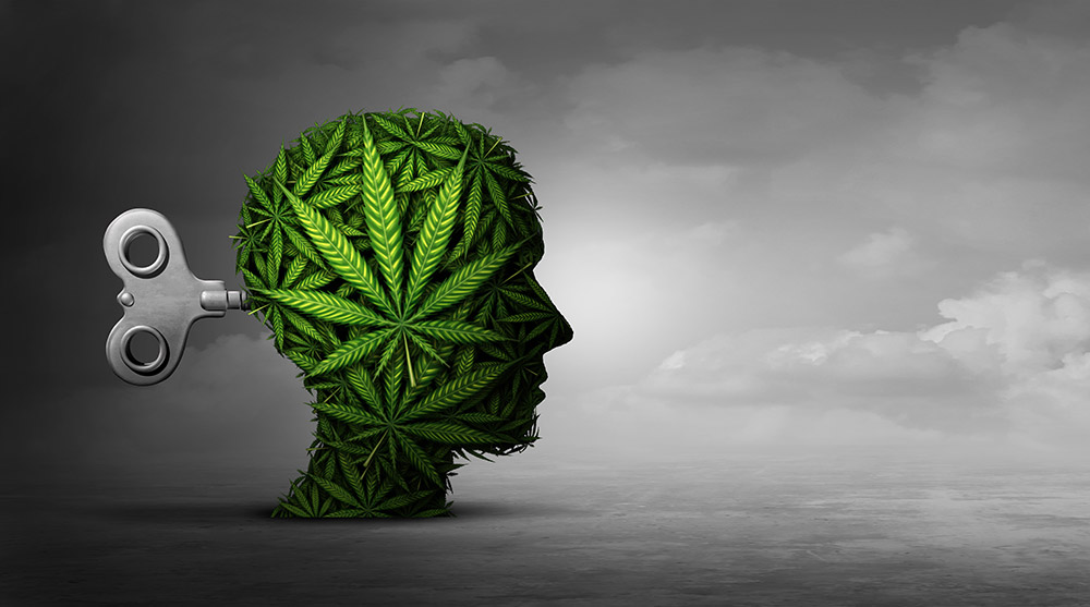 CBD Oil for Addiction Recovery: A Potential Aid