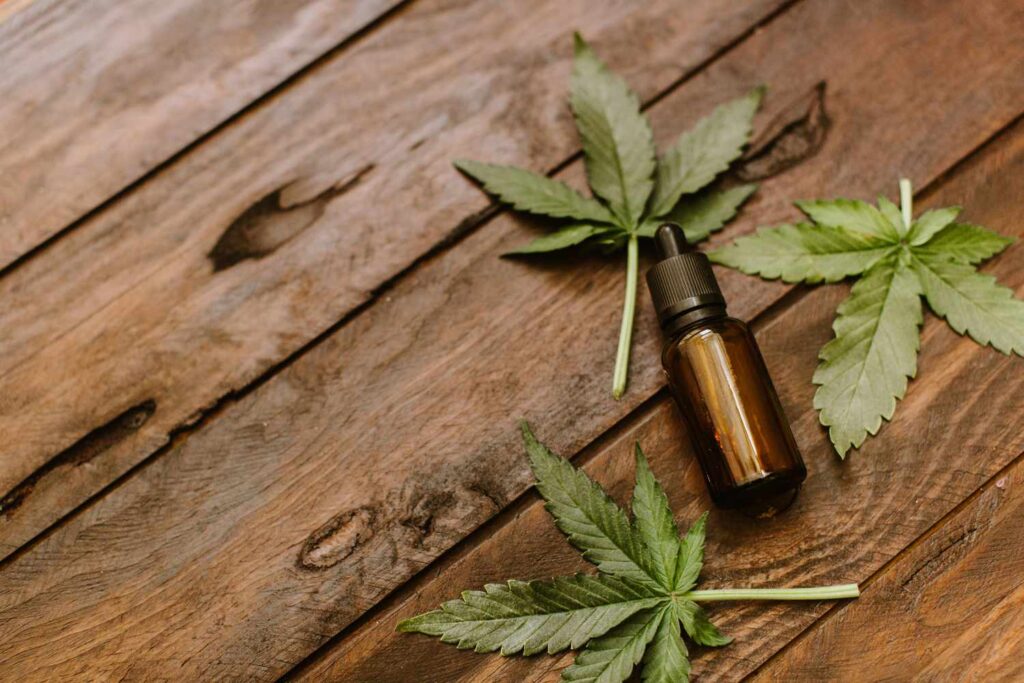 Understanding the Endocannabinoid System
