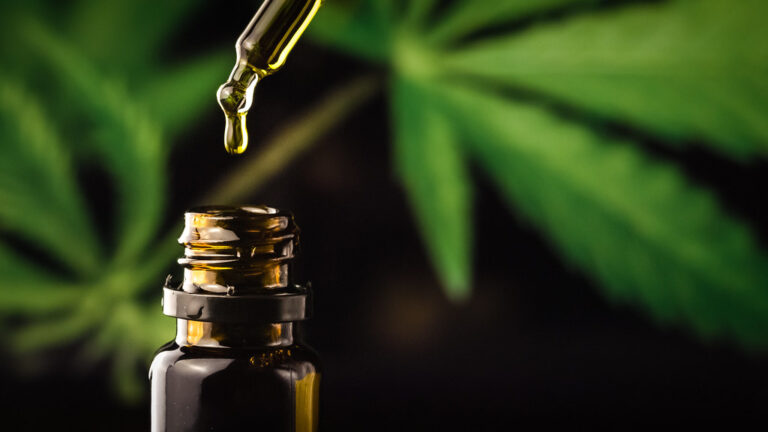 The Rise of CBD in Canada Trends and Consumer Insights