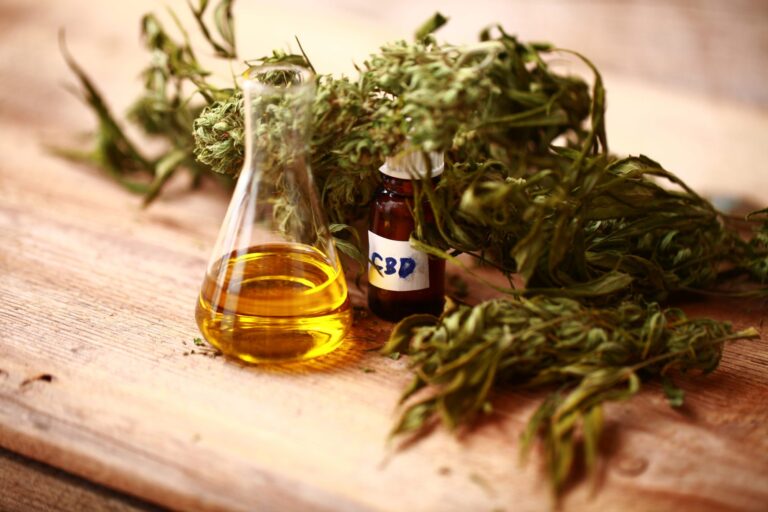 How CBD Can Help You Unplug and Beat Digital Fatigue