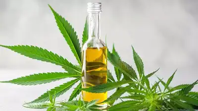 CBD for Wellness