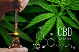 CBD Oil and Mental Clarity